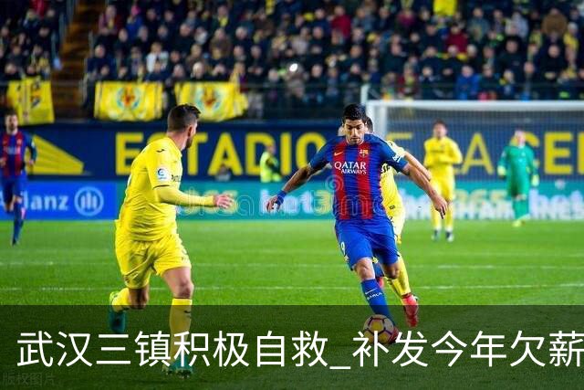 武汉三镇积极自救 补发今年欠薪 准入大概率会解决